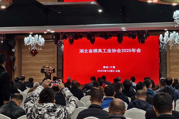 湖北模具工業協會年會 湖北模具工業協會年會